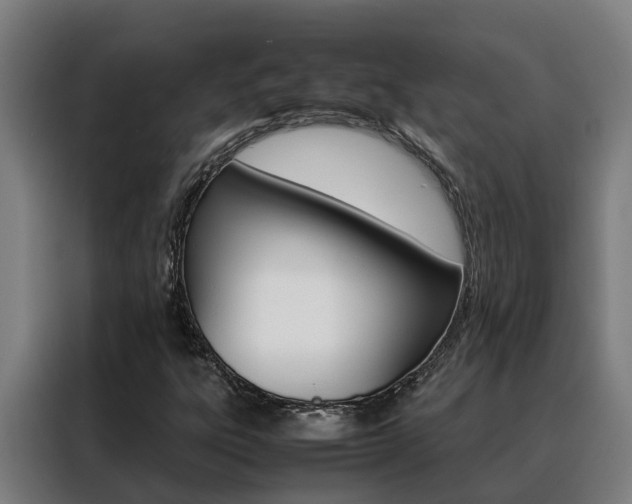 X0000088481303200705220952