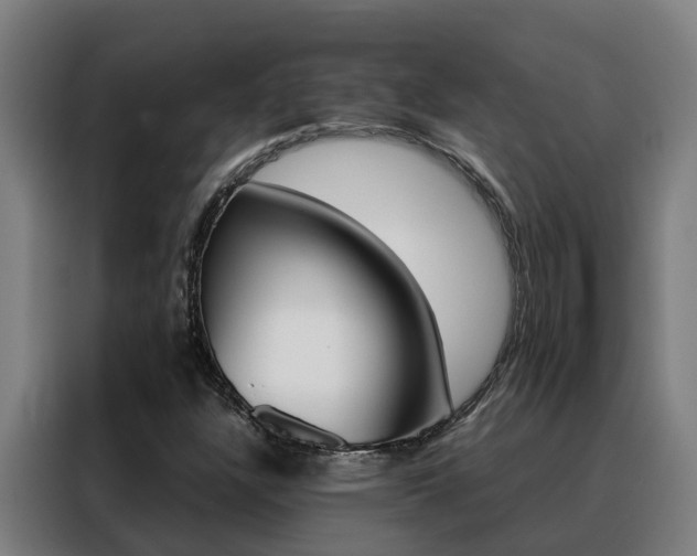 X0000088481304200705220952