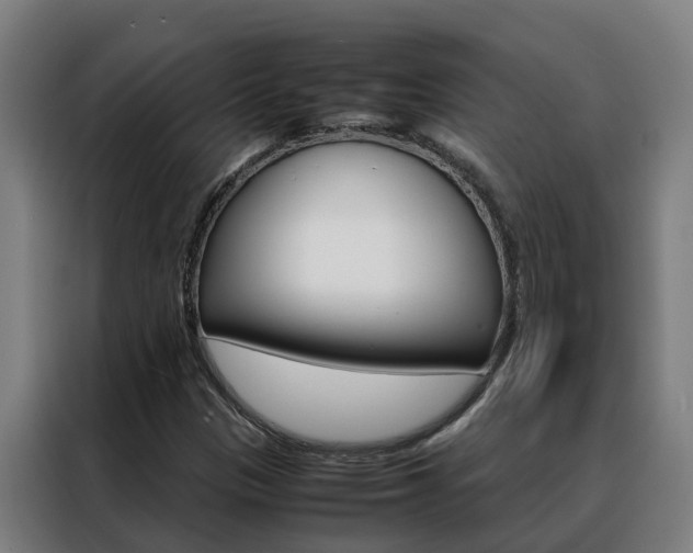 X0000088481305200705220952
