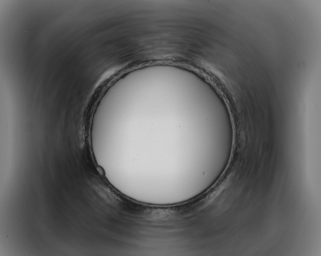X0000088481306200705220952