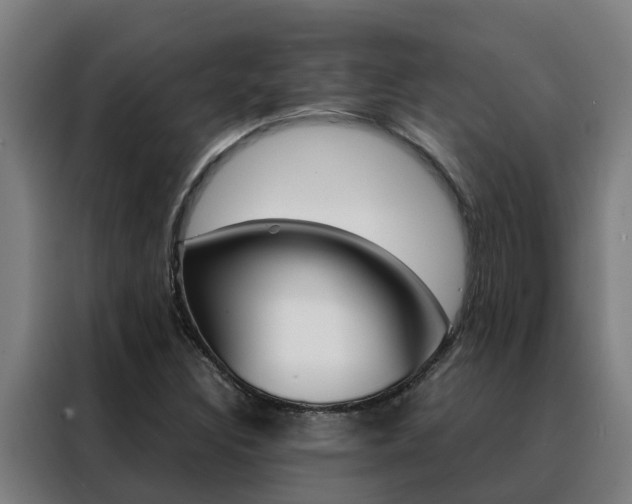 X0000088481308200705220952