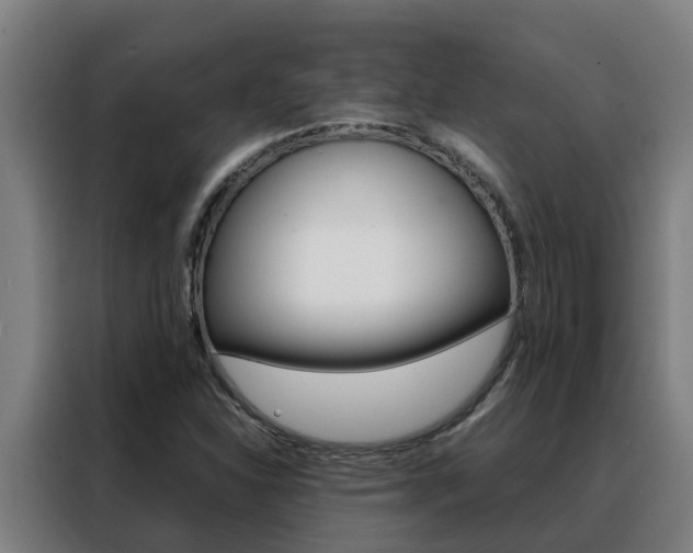 X0000088481310200705220953