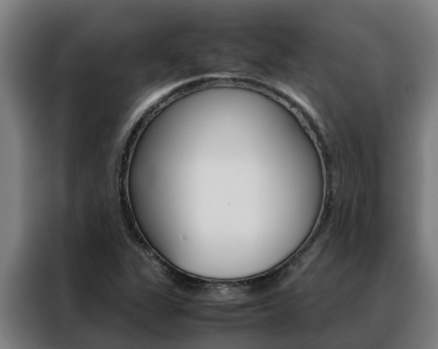 X0000088481311200705220953