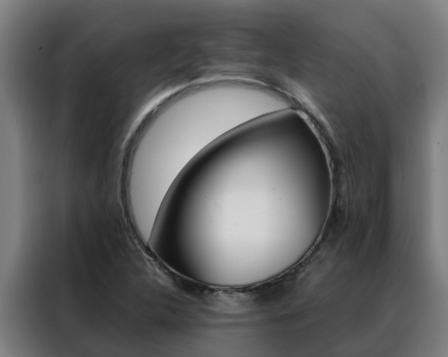 X0000088481312200705220953