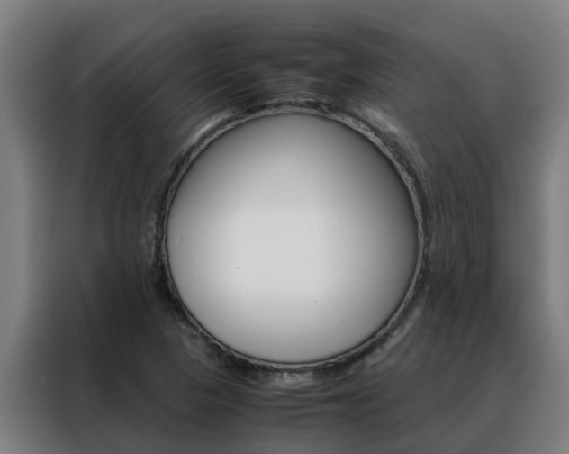 X0000088481313200705220953