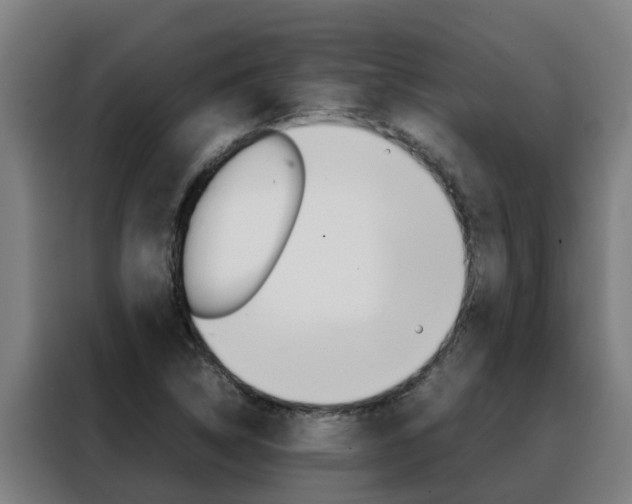 X0000088481314200705220953