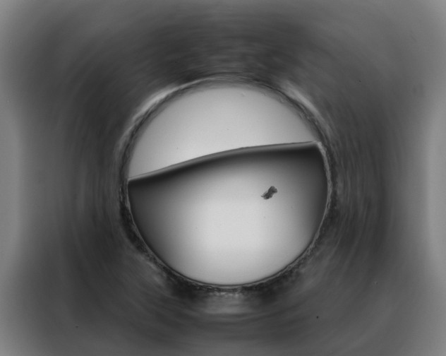 X0000088481315200705220953