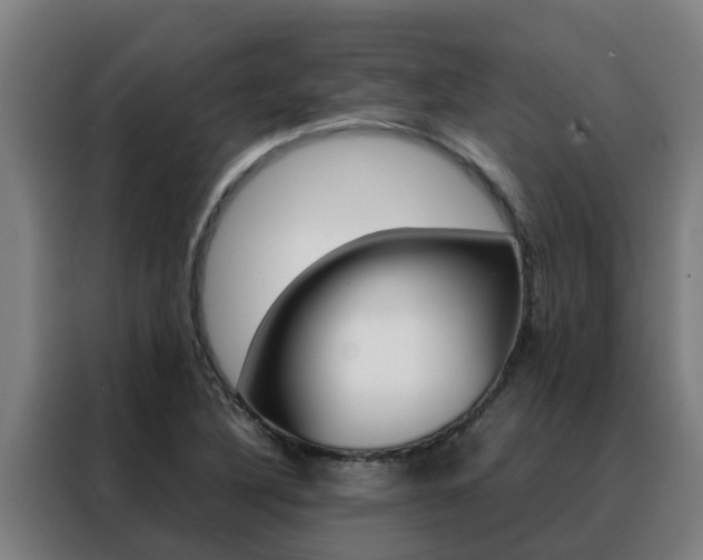 X0000088481316200705220953