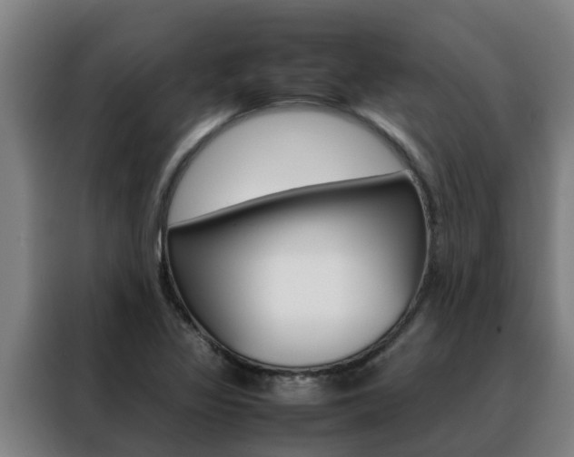 X0000088481317200705220953