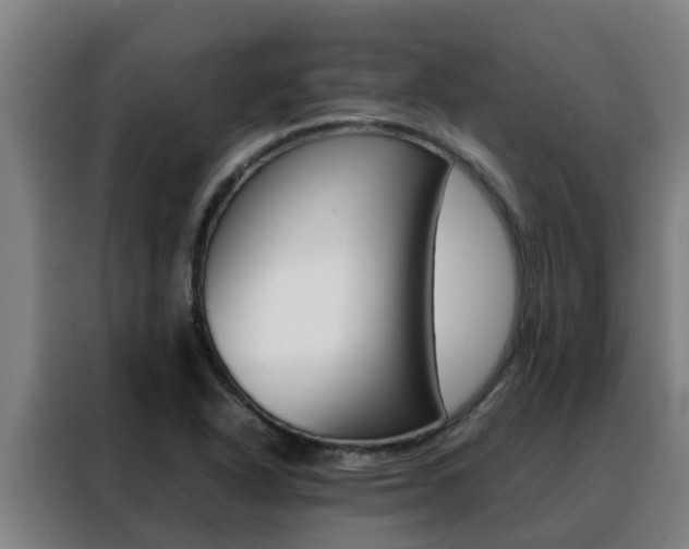 X0000088481318200705220953