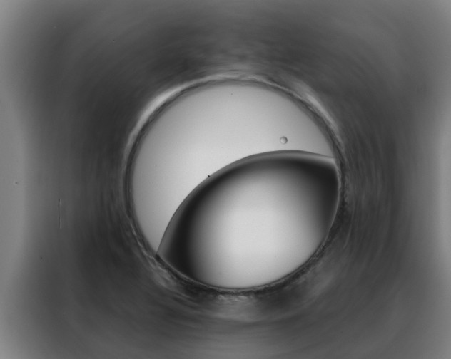 X0000088481320200705220953