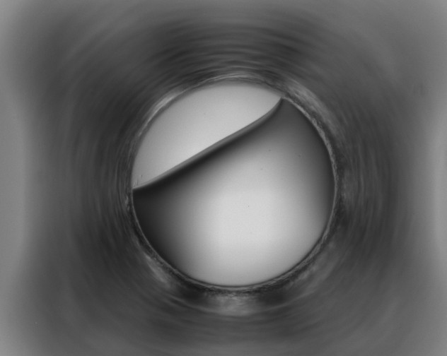 X0000088481321200705220953
