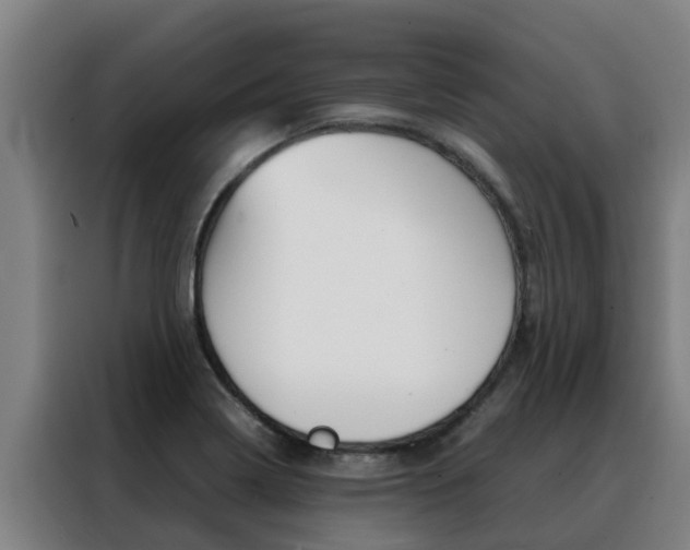 X0000088481322200705220953