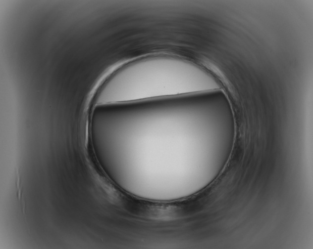 X0000088481323200705220953