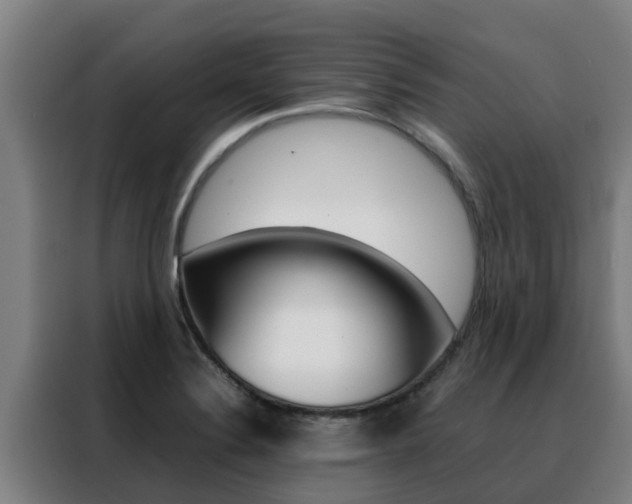 X0000088481324200705220953