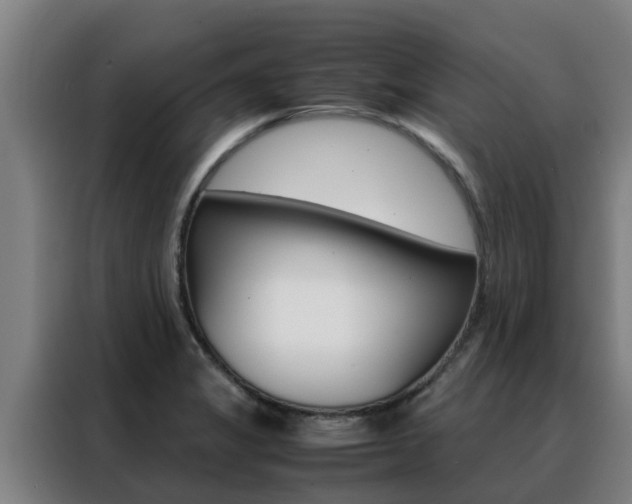X0000088481325200705220953