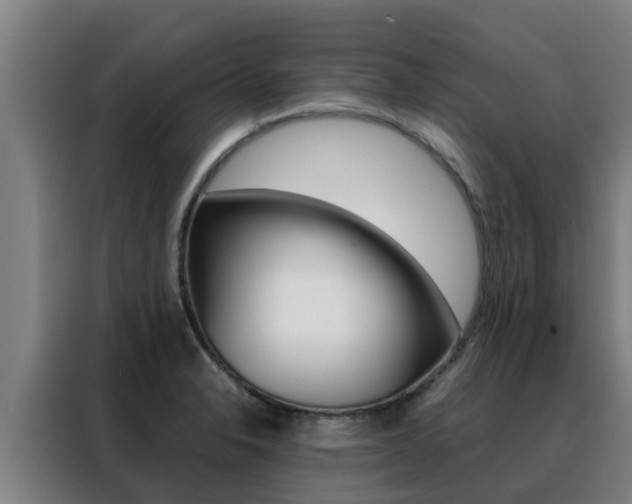 X0000088481326200705220953