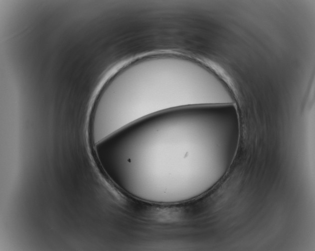 X0000088481327200705220953