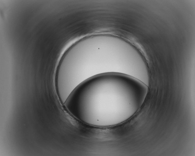 X0000088481328200705220953