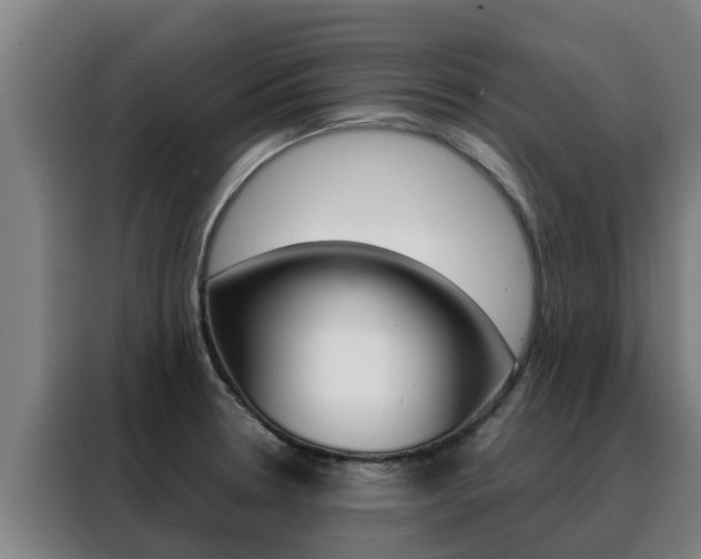 X0000088481330200705220953
