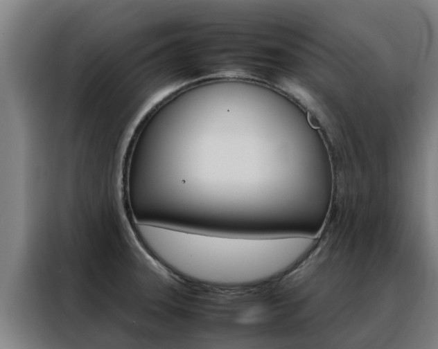 X0000088481331200705220953