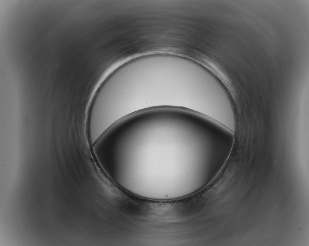 X0000088481332200705220953