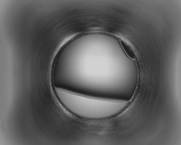 X0000088481333200705220953