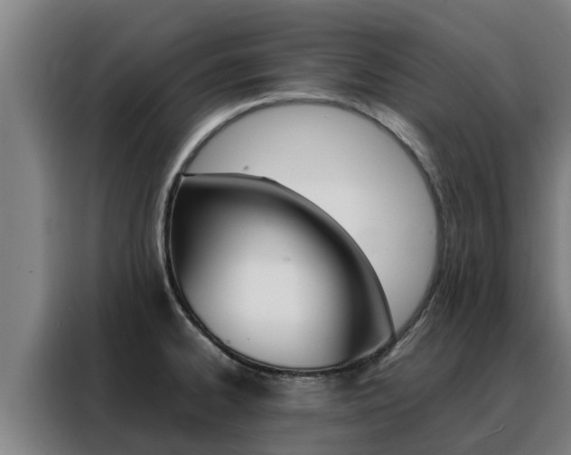 X0000088481334200705220953