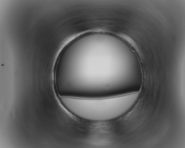 X0000088481335200705220953