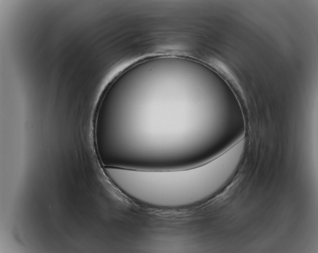 X0000088481336200705220953