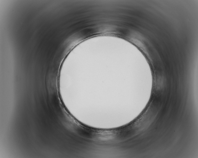 X0000088481338200705220953