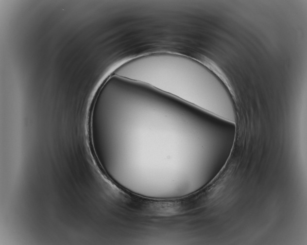X0000088481339200705220953