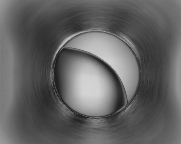 X0000088481340200705220953