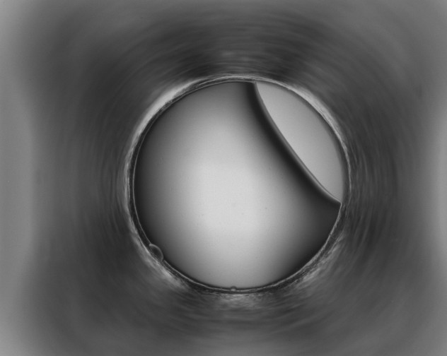 X0000088481341200705220953