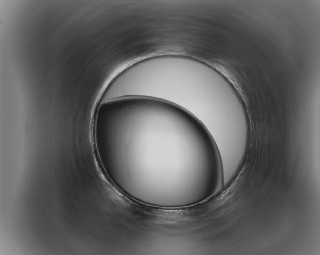 X0000088481342200705220953