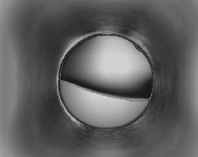 X0000088481343200705220953