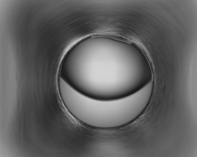 X0000088481344200705220953