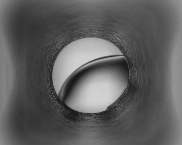 X0000088481345200705220952