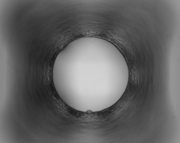X0000088481346200705220952