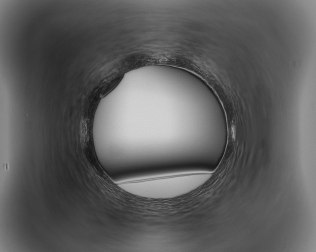 X0000088481347200705220952