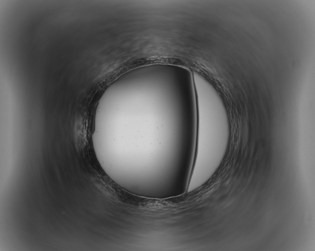 X0000088481348200705220952