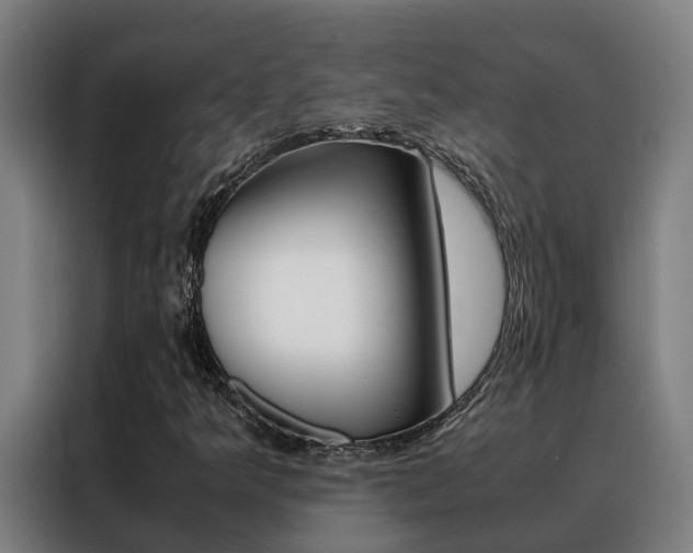 X0000088481349200705220952