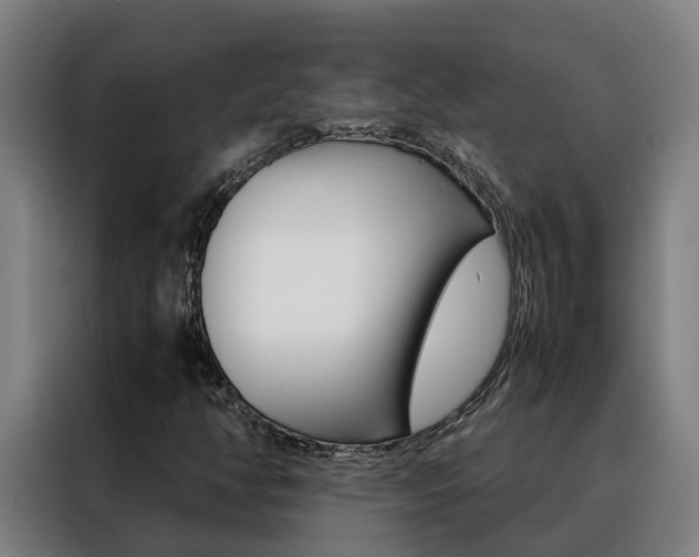 X0000088481350200705220952