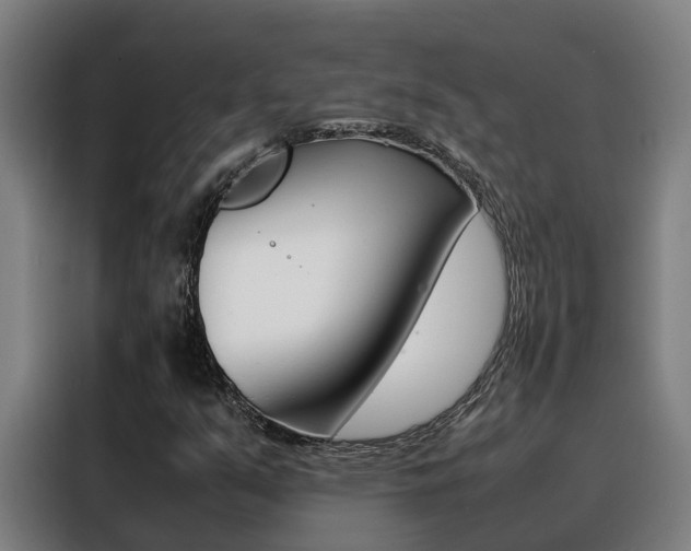 X0000088481351200705220952