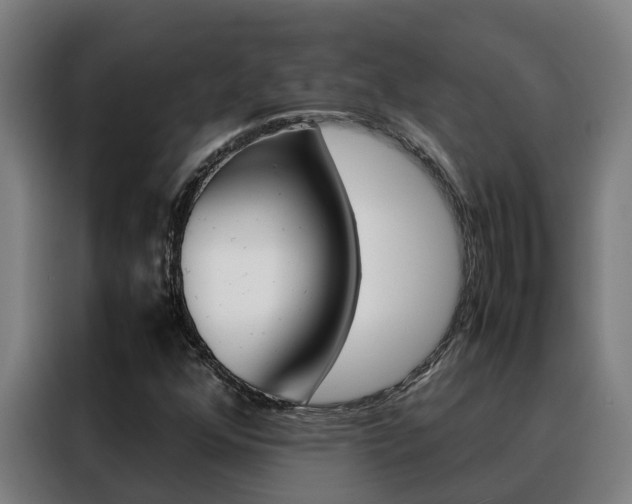 X0000088481352200705220952