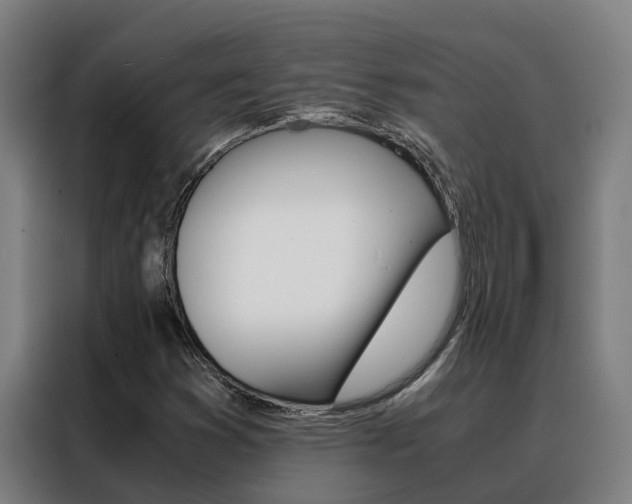 X0000088481353200705220952