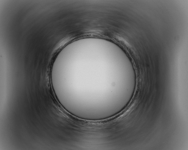 X0000088481354200705220952