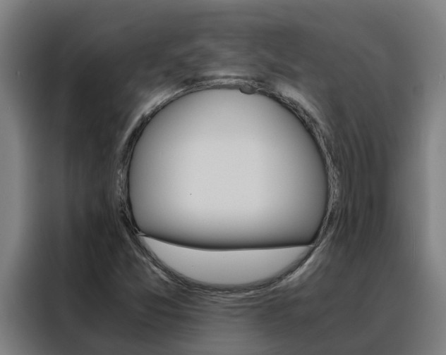 X0000088481357200705220952