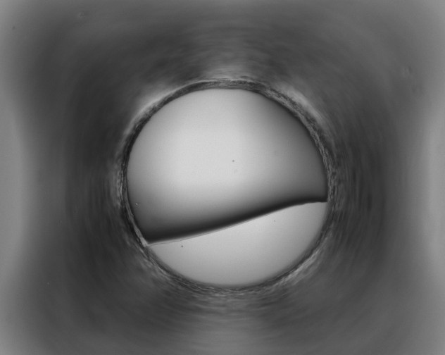 X0000088481358200705220952