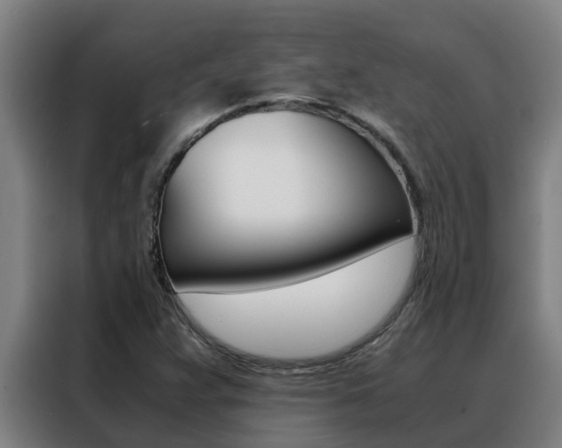X0000088481359200705220952
